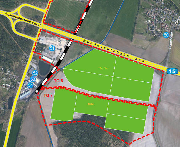 LIZ Forst.jpg.715659